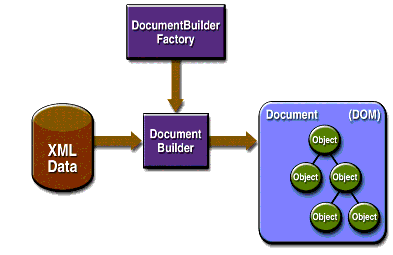 DOM APIs: DocumentBuilderFactory creates a DocumentBuilder, which reads the XML data and creates a Document, or DOM.